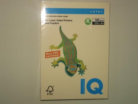 Бумага для оргтехники цветная А4 80г/м2, 500л кремовая пастель IQ Pale  CR20 135801