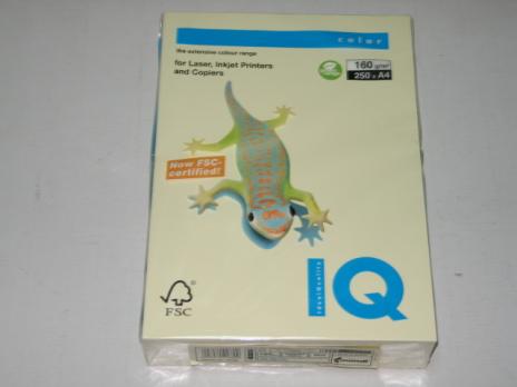 Бумага для оргтехники цветная А4 80г/м2, 500л ванильно-бежевая пастель IQ Pale  ВЕ66 135823