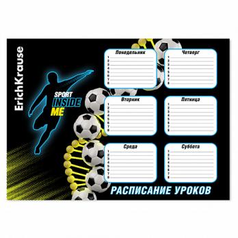 Расписание уроков A3 ErichKrause "Sport DNA" мел.картон  ЕК 61938